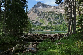 Alpine Lake outlet with Alpine Peak in the background.
